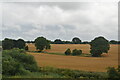 Hedge and farmland