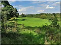 Field near Wribbenhall