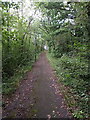 Footway through Halesfield Industrial Park