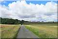 Sunlight, shadow, woodland and rolling fields