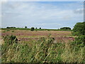 Waupley Moor