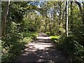 Bucklebury Common byway