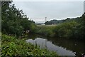 River Wear beside Houghall Lane