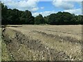 Deep muddy ruts in a stubble field