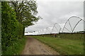 Polytunnels by footpath