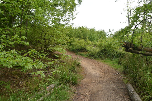 Hurst Wood © N Chadwick :: Geograph Britain and Ireland