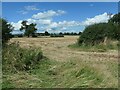 Farmland east of Thorner