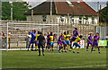 Tottenham : Coles Park, White Hart Lane