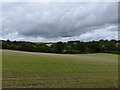 Hungerford Newtown farmland