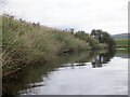 NS6596 : River Forth, Littleward by Richard Webb