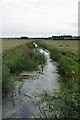 Downstream on Holland Brook