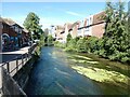 River Avon, at St Thomas Square, Salisbury