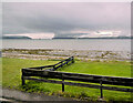 Cromarty Firth Shore at Saltburn