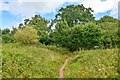 Cotford St Luke : Footpath