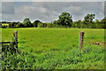 An open field, Glengeen