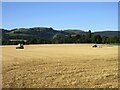 Harvested field of wheat near Kilgraston