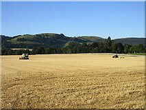 NO1217 : Harvested field of wheat near Kilgraston by Scott Cormie