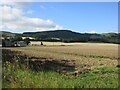 Potato field near Grant