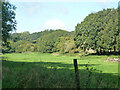 Narrow field along bottom west of Frithsden