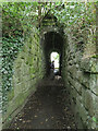 Footpath under disused railway