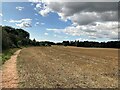 Path and Crop Field near Park Hall