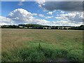 Fields near Nettleworth Farm