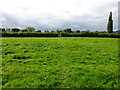 Footpath crossing field near Melverley