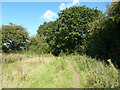 TL0315 : Footpath towards Studham Common by Robin Webster