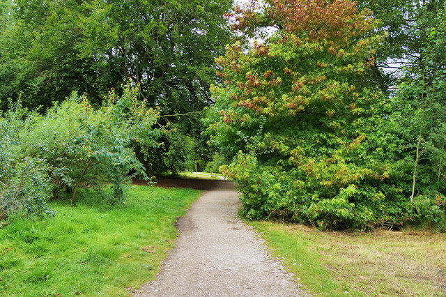 RHS Harlow Carr, the Arboretum © David Dixon :: Geograph Britain and ...