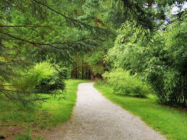 The Arboretum at Harlow Carr Garden © David Dixon cc-by-sa/2.0 ...