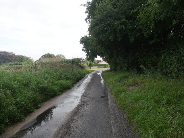 Nearing Withergate © David Pashley :: Geograph Britain And Ireland