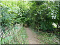 Footpath from the church, Pavenham