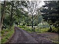 Private track to Rose Cottage in Habberley Valley