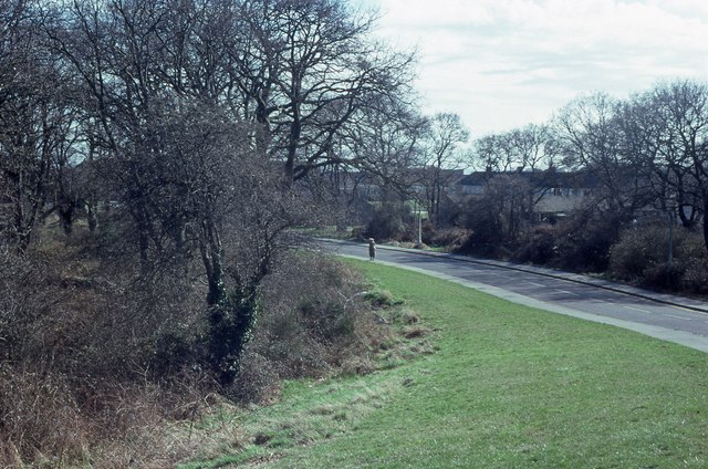 Part of Oakdene Woods and Tichborne Way