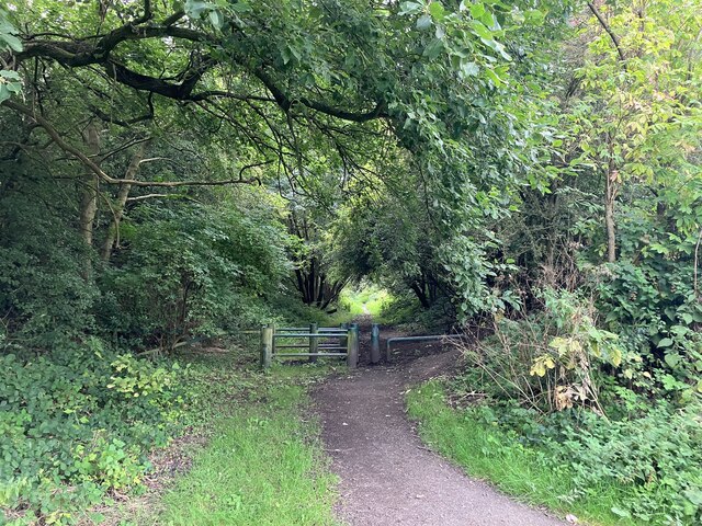 Path on route of former waggonway, Greenside 