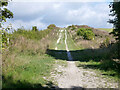 SP9821 : Half Mile Hill, Totternhoe by Robin Webster