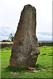 NY5737 : Little Salkeld, Long Meg and her Daughters: The stone known as 'Long Meg' by Michael Garlick