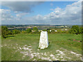 Trig point, Castle Hill, Totternhoe