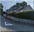 Hedges and houses, Groesffordd, Powys