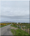 Road near Cruach