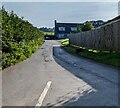 Road between hedge and fence north of Groesffordd, Powys