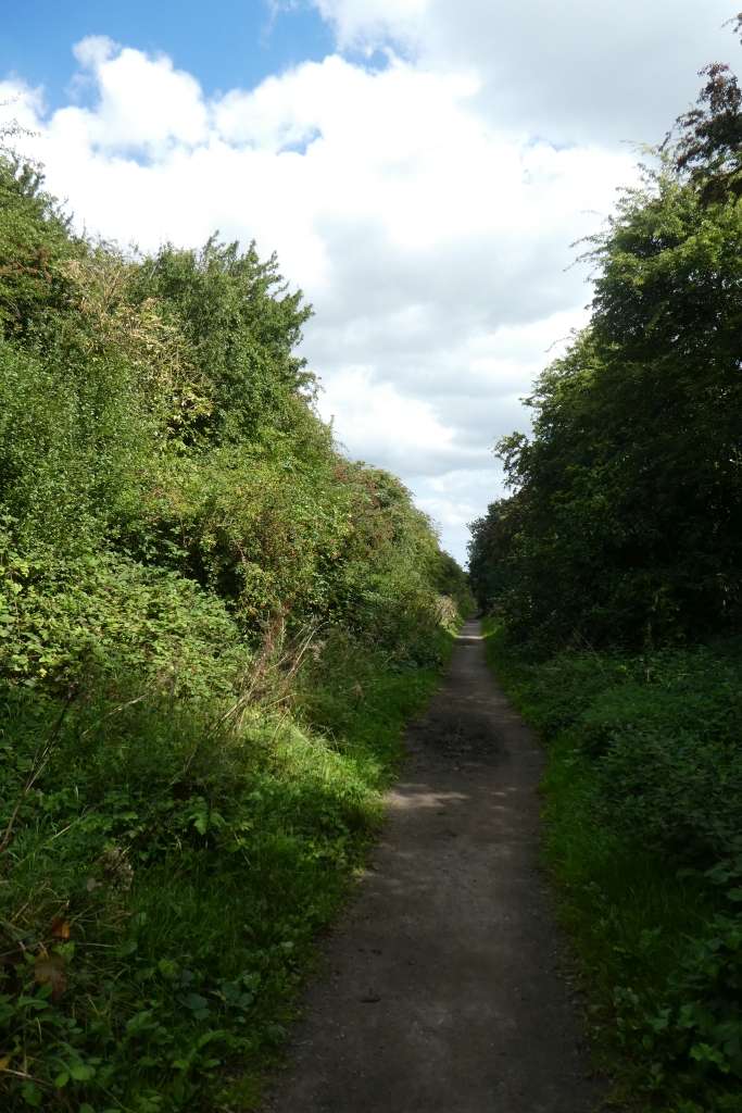 Hudson Way south of Etton © DS Pugh :: Geograph Britain and Ireland