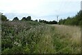 Path beside the railway