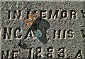 NT8541 : A butterfly on a gravestone at Lennel Churchyard by Walter Baxter