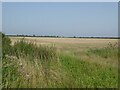 Field north of Pattingham Road