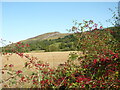 Looking towards Craig Rossie