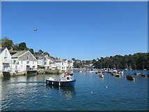 SX1251 : Fowey waterfront by Roy Hughes