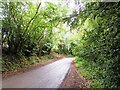 Lane near Welland