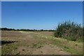 Field boundary beside a bridleway