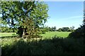 Field boundary near Weather Hill Farm